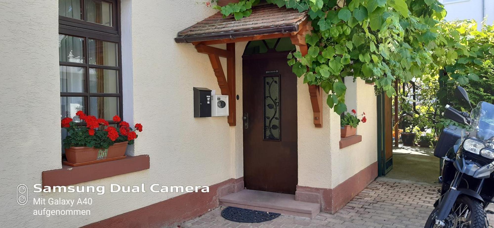 Gaestehaus Zu Herrenwiesen هايدلبرغ المظهر الخارجي الصورة